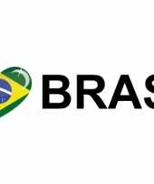 I love brasil sticker