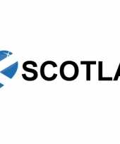 Set van 5x stuks i love scotland vlag sticker 19 6 cm